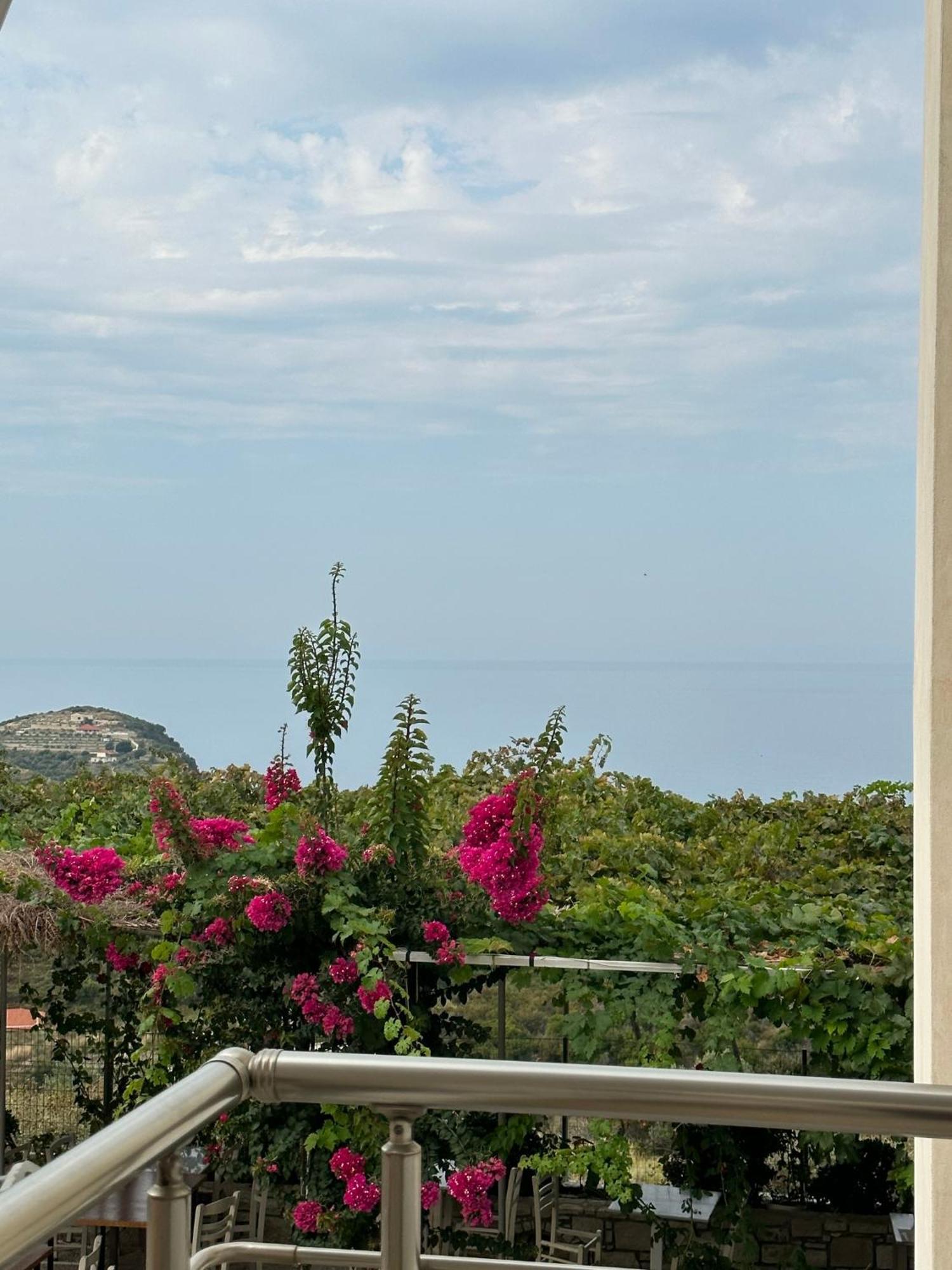 Elea Guesthouse هيماري المظهر الخارجي الصورة