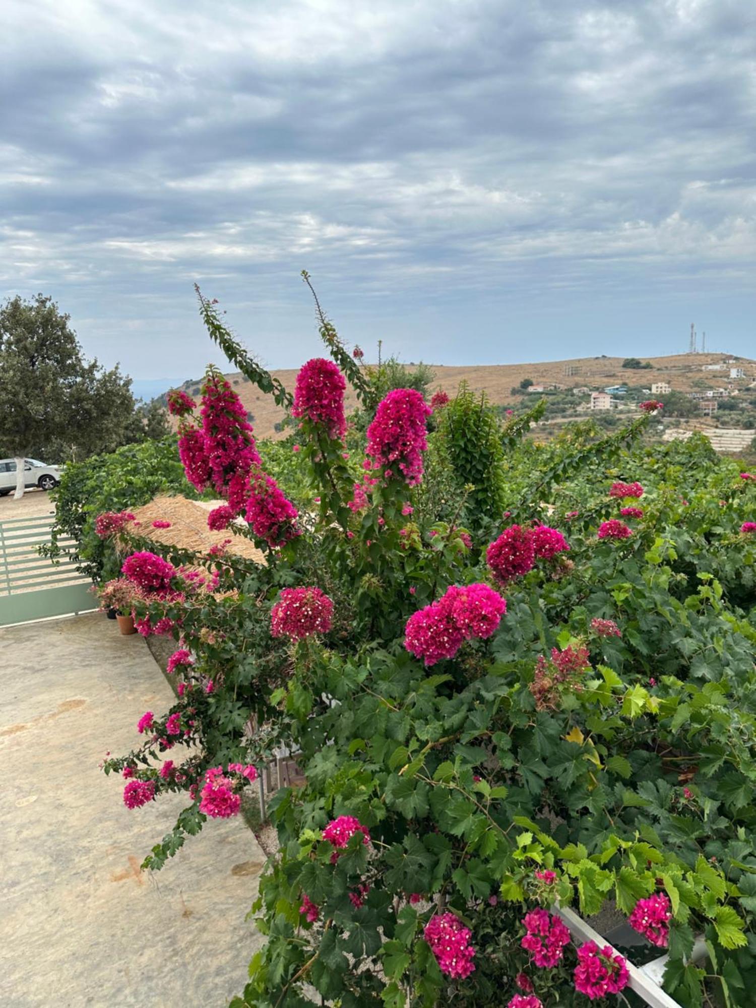 Elea Guesthouse هيماري المظهر الخارجي الصورة